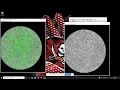 Processing images with Image J