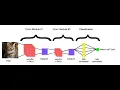 Image Classification using Transfer Learning In Deep Learning VGG19