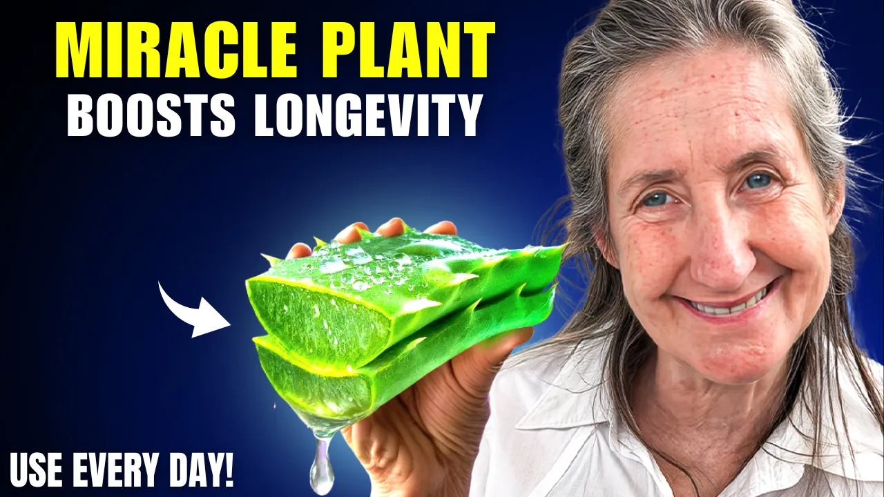 Outline Video 12 MIRACLE Houseplants That Can Help You LIVE LONGER! | Barbara O'Neill