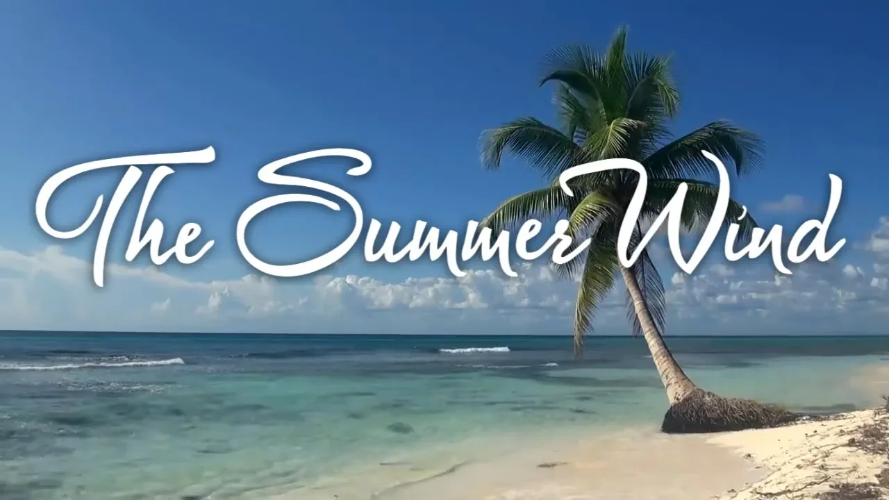 The Summer Wind | Frank Sinatra Karaoke The Summer Wind | Frank Sinatra Karaoke
