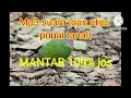 Download Lagu Mp3 Suara pikat joan atau punai tanah