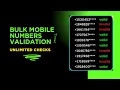 How to validate bulk mobile phone numbers in 2025 without any API - Unlimited Checks