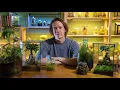 the ultimate terrarium guide
