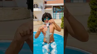 مسدس القرش ضد سمكه القرش   دندنها