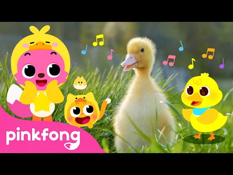 Download MP3 Quack, Quack, Little Baby Ducks | Kids Nursery Rhyme | Pinkfong Ninimo