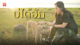บ่ได้ฮัก  - ออยเลอร์ [Acoustic Cover] original : กู่แคน