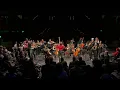 Delirium Musicum's "Seasons" Live (Max Richter: Summer 3)