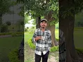 Download Lagu baat ka yakin #viral #comedy #comedyskits #funny #memesguru2 #comedyvideos #amazingmemes #viralcomed
