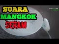 Download Lagu Suara Mangkok Tukang Baso Seram #satujutasuara #tukangbakso