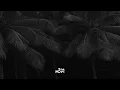 Dark Colors - Baila