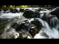 Download Lagu AMPUH ❗ Suara air sungai untuk terapi burung stress - Relaksasi Burung - Terapi burung macet