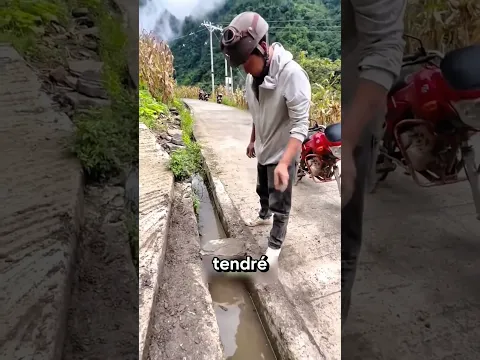 ¡Ayudó a Dos Niñitas… y Luego Hizo Algo Increíble!😱#shorts