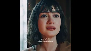 تتذكر لما كنا أصحاب لما كنا نسهر تحت نجوم الليل   حالات واتس اب   دندنها