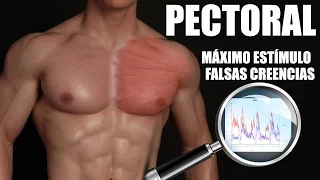 PECTORAL: MÁXIMO ESTÍMULO, HIPERTROFIA Y FALSAS CREENCIAS