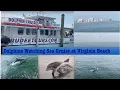 Dolphins Watching Sea Cruise Rudee Tour at Virginia Beach