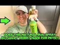 How To Get Rid Of Indoor Bugs Spiders Can This Bug Spray Keep Bugs Away AND Be Safe For Pets