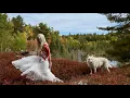 Download Lagu Transformatie van mijn off-grid paradijs: nieuwste updates!