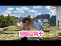 Download Lagu 村民一大早拉来很多豆角，小翠和阿金一起，把它做成豆角干真不错