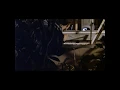 O Fantasma Joao Pedro Rodrigues 2000 voyeur
