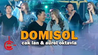 domisol caklan u0026 aurel oktavia new monata