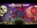 Beating Terraria SKYBLOCK SEED For The FIRST TIME PT PRE-HARDMODE