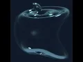 打空氣的拳擊手
