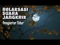 Download Lagu Relaksasi Suara Jangkrik Pengantar Tidur | Musik Alam | Relaxation of Crickets Sound