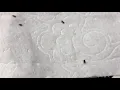 Tiny crawling black bugs in toilet tank and bowl