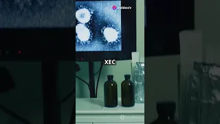 New XEC Covid Variant What You Need To Know 