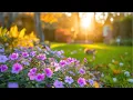 Download Lagu Восстановление нервной системы 🌸 Нежная музыка, расслабляет, исцеляет и радует душу#сергейгрищук