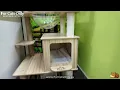 Fur Cats Only Boutique Cattery Gold Coast Luxury Cat Boarding