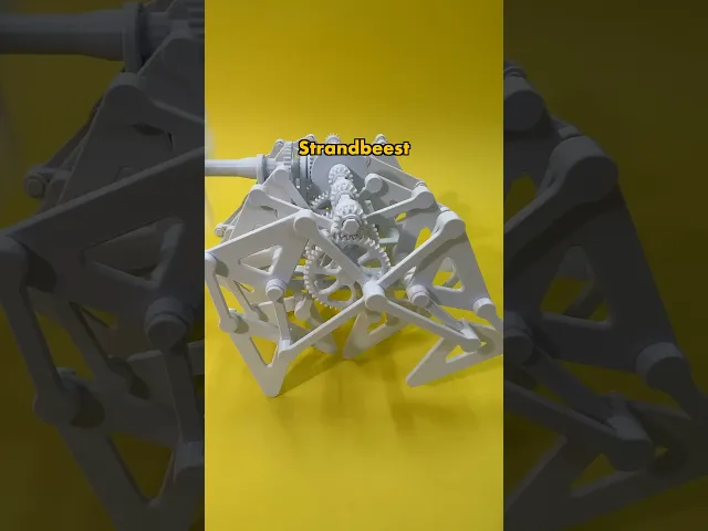 The Toronto Strandbeest video thumbnail