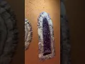 King Spa Sauna - Dallas TX
