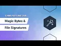 Cyber Skyline Live Magic Bytes File Signatures