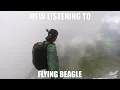 My Feel When Flying Beagle