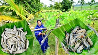 গ্রাম্য পদ্ধতিতে লাউ পাতায় গলদা চিংড়ি পাতুরি আর নদীর খয়রা মাছের টক রান্না এই দিয়ে সবাই ভাত খেলো
