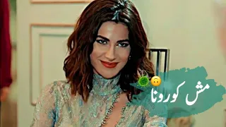 فراشة ماشية تلف انس كريم مش كورونا اغاني جديدة حالات واتس غرور للبنات شاهقة التفاح الحرام دندنها