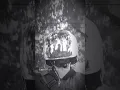 Download Lagu Naff - kenanglah aku