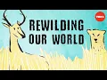 From the top of the food chain down Rewilding our world - George Monbiot