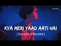 Lagu Kya Meri Yaad Aati Hai (Slowed + Reverb) | Vishal Mishra, Tanishk Bagchi | Sky Force | SR Lofi