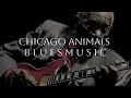 Chicago Blues Lab |  Old School Blues Music | Whiskey Music | Official Music Video 