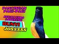 Download Lagu Pancingan PAGI-PAGI AGAR MURAI GACOR❗sekali coba murai DIAM langsung bunyi