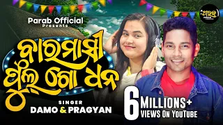 baramasi phul go dhana damo u0026 pragyan new koraputia song new odia song viral sambalpuri song