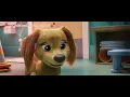 Paw Patrol The Movie || MLP New Generation Together with lyrics {Music Video}
