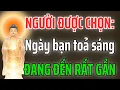 Lagu Dấu hiệu người được chọn thường khổ rất lâu, nhưng sáng rất sâu