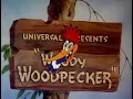 Download Lagu Woody woodpecker laugh