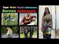 Download Lagu INSTRUMENT MUSIC SAPE DAYAK KALIMANTAN (BORNEO) INDONESIA