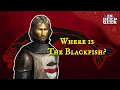 Download Lagu Where is the Blackfish?