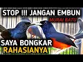 Lagu TERBARU BONGKAR RAHASIA DIBALIK RAWATAN PENGEMBUNAN UNTUK MURAI BATU | MURAI BATU GACOR