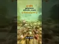 Download Lagu Ganga dharay 🙏Shiv Ganga dharay song status #shortvideo #status #mahadev #shorts #subscribe